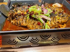 青花椒鲜活鮰鱼-鱼酷活鱼烤鱼(静安大融城店)