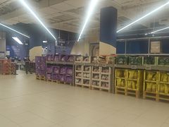 -盒马X会员店(上海森兰商都店)