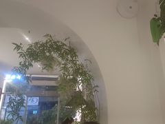 -春树下·树屋花房西餐厅(罍街AS1980店)