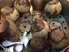 -達揚原味燉品(文明路店)