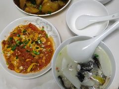 -田螺阿姨自营月嫂·育儿嫂(高新店)