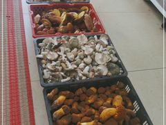 -双喜农庄·菌香园(安居家园店)