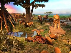 -国家自然博物馆