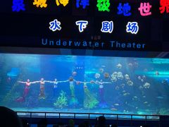 -泉城欧乐堡海洋极地世界