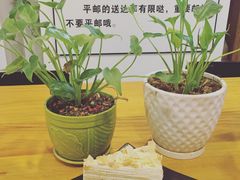 -猫山王创意蛋糕店(东城万达店)