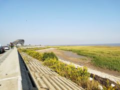 -南汇嘴观海公园