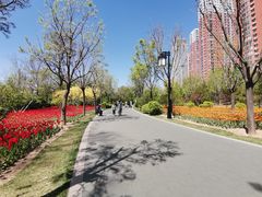-迎泽公园