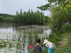 -白鹭湾湿地公园