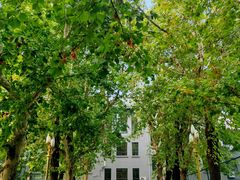 -第二外国语学院-韩国餐厅(朝阳路店)