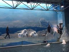 -秦皇岛乐岛海洋王国