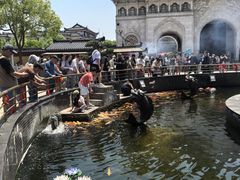 -上海东林寺(金山区)