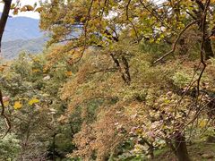 -广州市石门国家森林公园