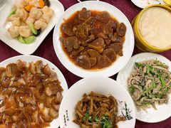 红烧牛舌尾-燕春楼(海河华鼎店)