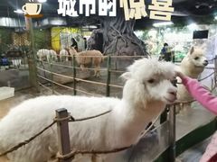 -上海大自然野生昆虫馆(东方明珠·爬宠昆虫探索中心)