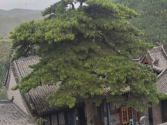 -雁门关景区