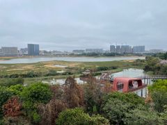 -立新湖公园