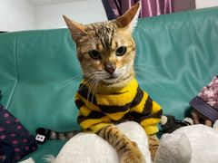-宠颐生嘉德动物医院