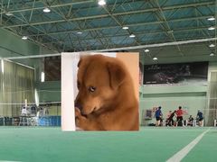 -青岛市体育产业发展中心全民健身中心