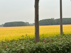 -嘉北郊野公园