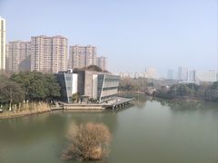 -青枫公园