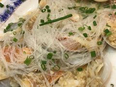 -鸿达渔港