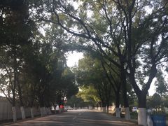 -晶宝温泉农庄