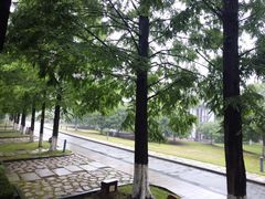 -太阳岛度假酒店