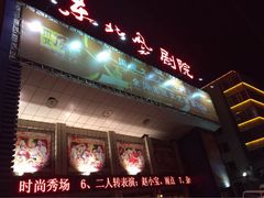 东北风二人转剧场(民康路店)-东北风阿厦剧院(民康路店)