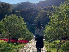-广州市石门国家森林公园