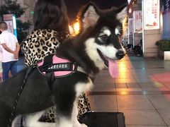 -沙洲路步行街(长安南路店)