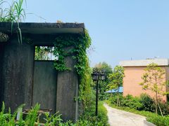 -广州市帽峰山景区