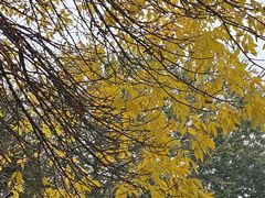 -紫竹院公园-东门停车场