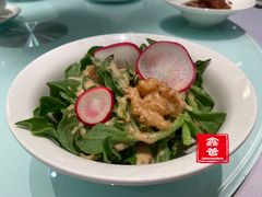 麻将南非冰草-玫瑰厅上海菜(兴国路店)