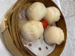 -老廣新意-全天茶点(宝能店)