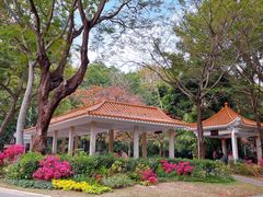 -人民公园(罗湖区)