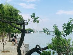 -无锡蠡湖国家湿地公园-蠡园