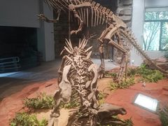 -自贡恐龙博物馆