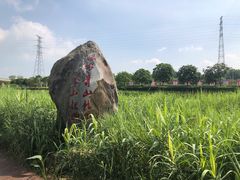 -那考河湿地公园