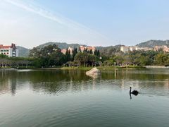 -厦门大学(思明校区)