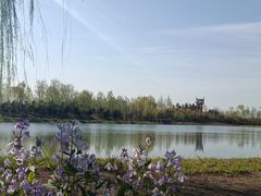 -东郊湿地公园