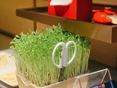-海底捞火锅(城阳万象汇店)