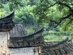 -杨家堂村