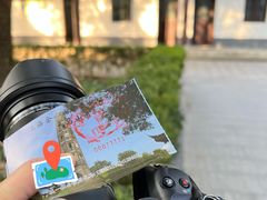 -上海佘山国家森林公园天马山园