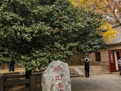 -青岛崂山太清宫