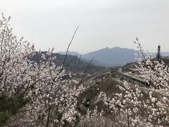 -定都峰