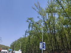 -佛手湖郊野公园
