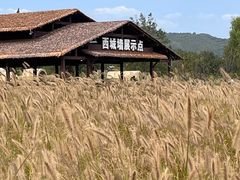 -良渚古城遗址公园