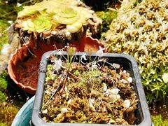 -国家植物园南园