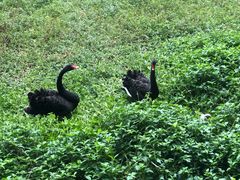 -福建鲤鱼洲酒店