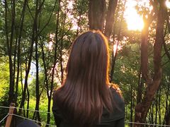 -重庆市江北嘴中央商务区中央公园